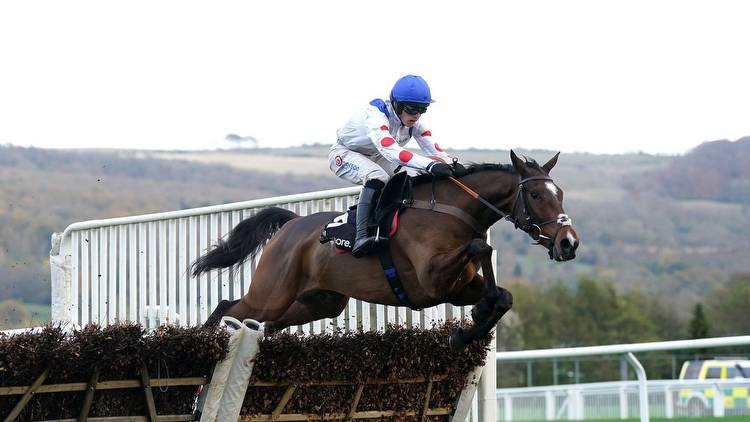 Cheltenham Festival Day 2 Tips: Hermes Allen looks the real deal