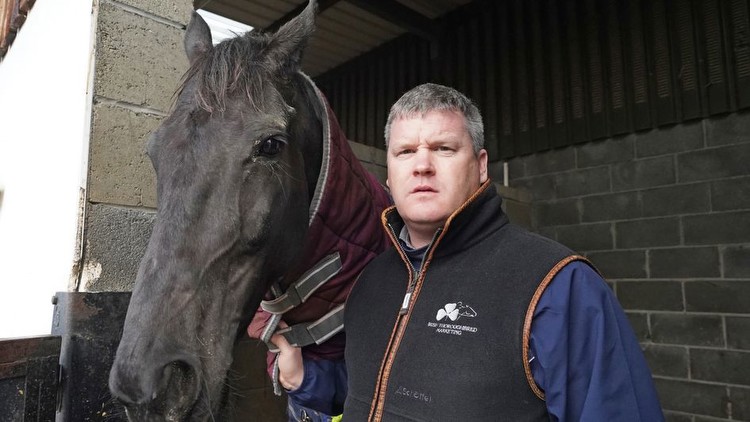 Cheltenham Festival: Gordon Elliott's star horses