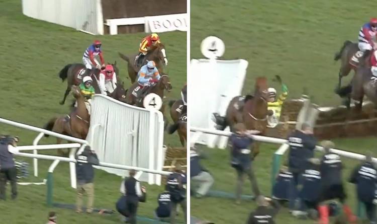 Cheltenham Festival horse crashes into huge fence as jockey blamed for causing nasty fall