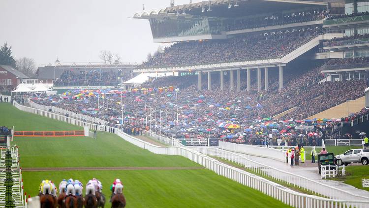 Cheltenham Festival: Sky Bet introduce first-of-its kind offer after going non-runner no bet on ALL races