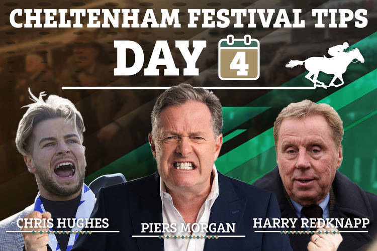 Cheltenham Festival tips: Piers Morgan, Harry Redknapp and Chris Hughes ALL pick same horse