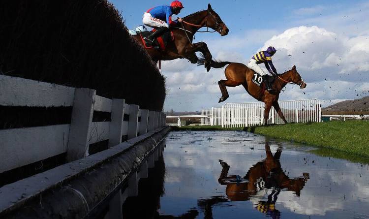 Cheltenham Festival tips: Seven best bets on day two