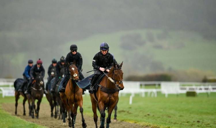 Cheltenham Festival tips: Seven horses favoured on day one with Honeysuckle set for upset