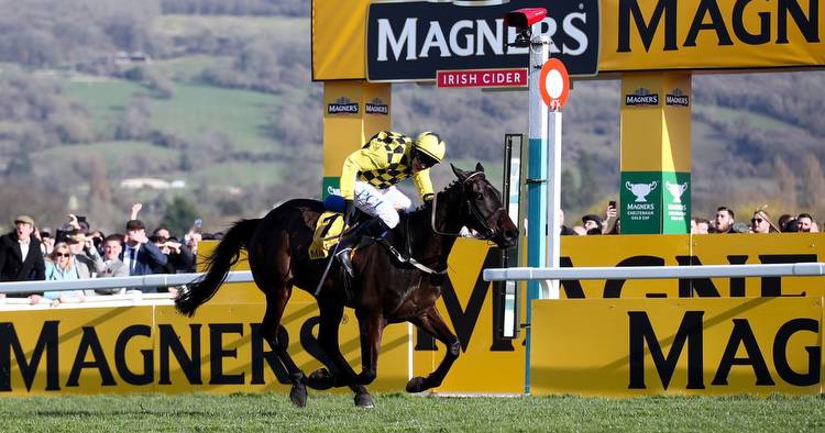 Cheltenham Gold Cup 2021: Start time, runners and riders, betting odds and TV channel