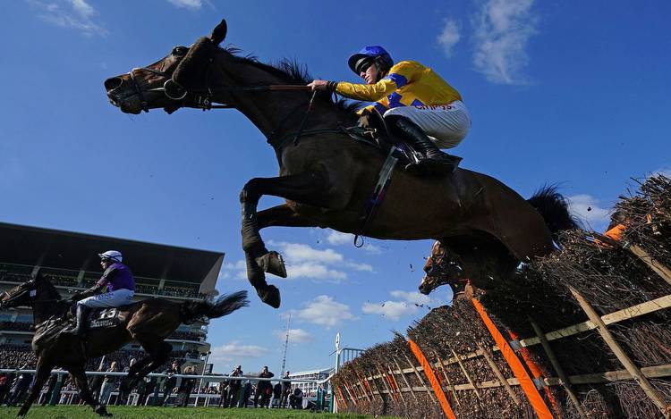 Cheltenham Gold Cup 2023: runners and riders, a horse-by-horse guide