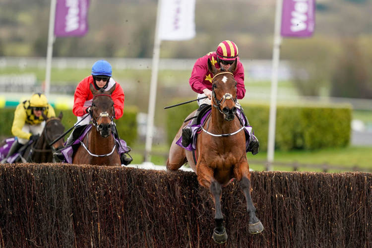 Cheltenham Gold Cup Trial Races: Where we can see pointers for the Gold Cup