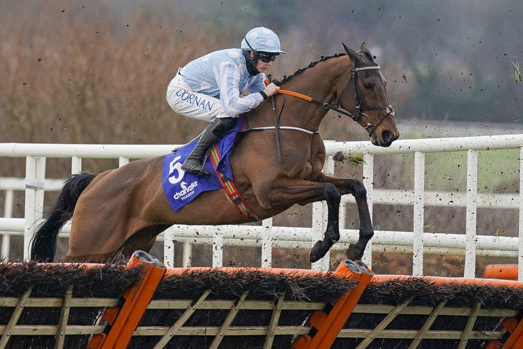 Cheltenham Odds: Who will go off the shortest priced favourite at the festival?