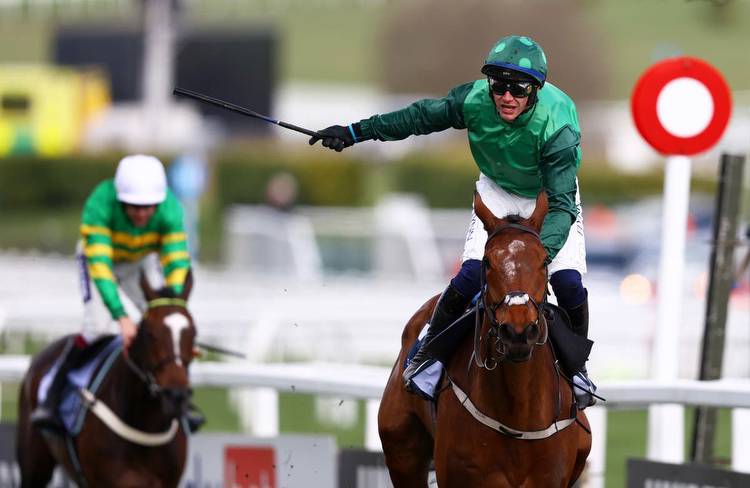 Cheltenham results 2023: Every race winner at the Festival today