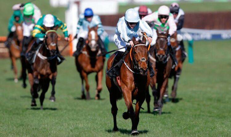 Cheltenham results: All the winners from day one as Honeysuckle wins Champion Hurdle again