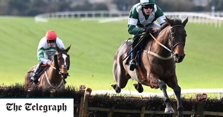 Cheltenham Stayers’ Hurdle 2023 runners and riders: A horse-by-horse guide