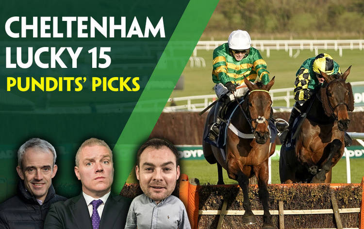 Cheltenham tips: A Lucky 15 picked by the From the Horse's Mouth team