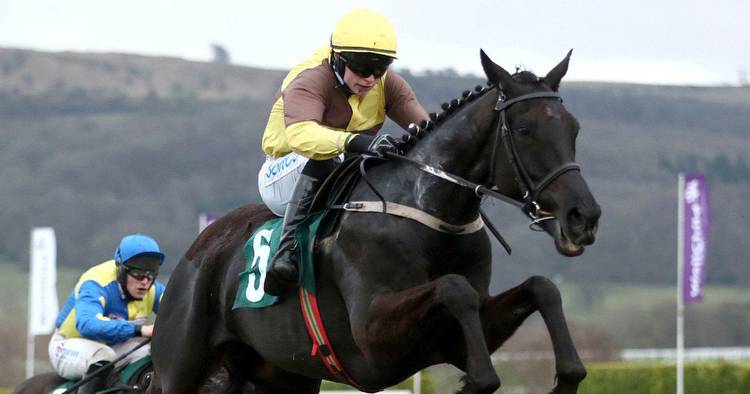 Cheltenham Tips: Gold Cup Betting Odds, Preview And Predictions