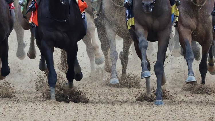 Churchill Downs investigating deaths of seven horses ahead of the 149th Kentucky Derby