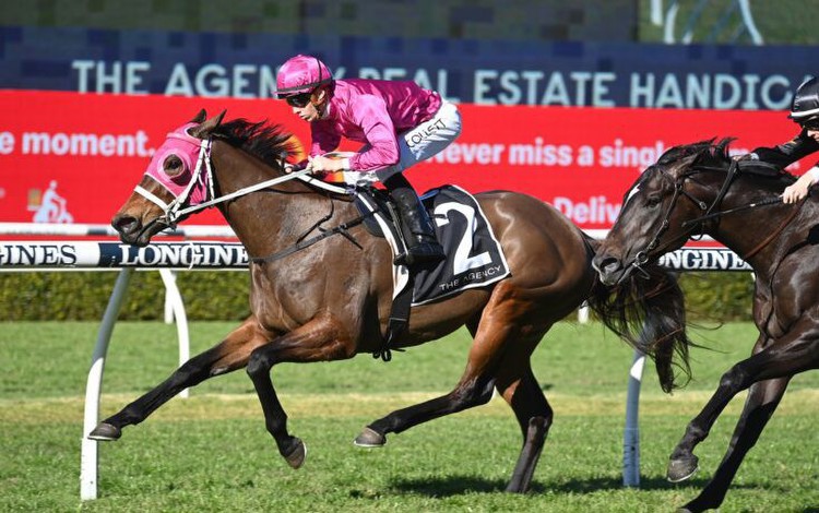 Cigar Flick heads early odds for The Rosebud