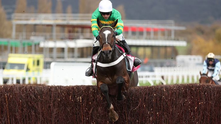 Clarence House Chase: El Fabiolo confirmed to run against Jonbon at Ascot