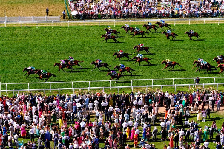 Co Down woman made redundant last year wins £38,000 in free Royal Ascot bet