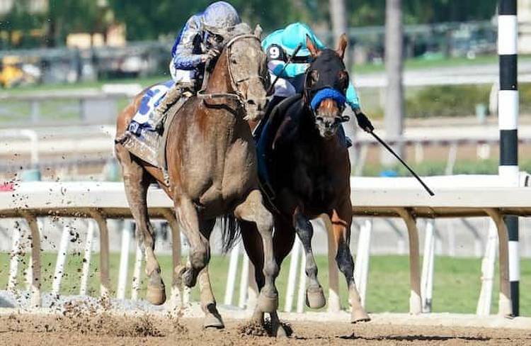 Cody's Wish wraps up storybook career with Dirt Mile cliffhanger