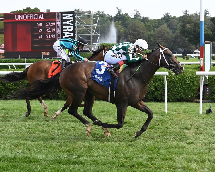 Cogburn Stays Perfect on Turf in G3 Troy
