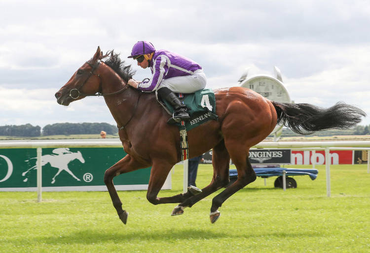 Commonwealth Cup at Royal Ascot Tips, Race Previews and Selections