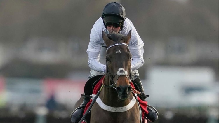 Constitution Hill: Champion Hurdle winner a doubt for Cheltenham after poor workout