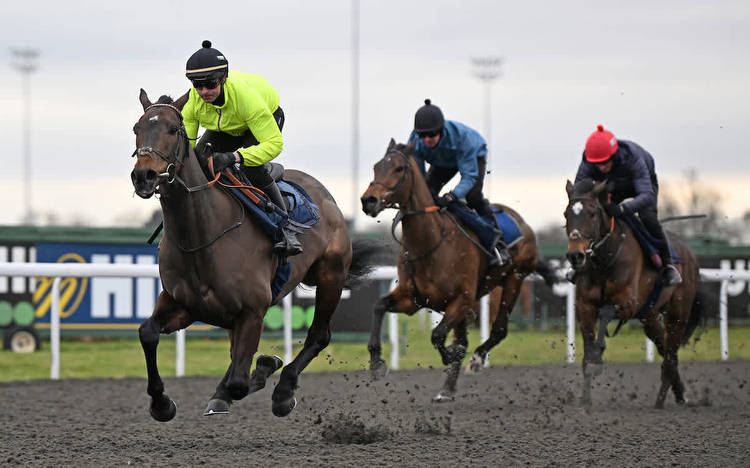 Constitution Hill delights Henderson in Kempton workout