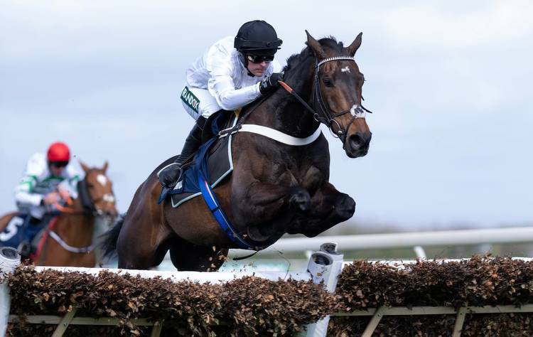 Constitution Hill nears hurdling legends on 175 as Henderson mulls chasing career for unbeaten superstar