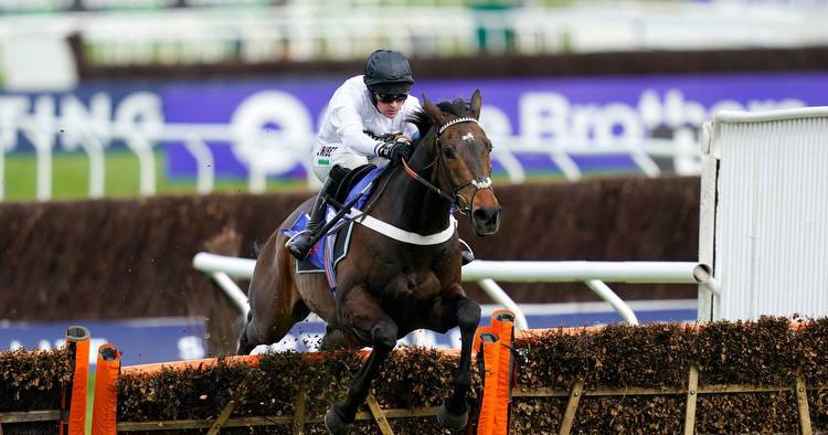 Constitution Hill wins Champion Hurdle on opening day at Cheltenham Festival