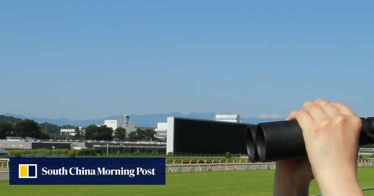 Content in the world of racing: Owner Benson Lo finds another shooting star