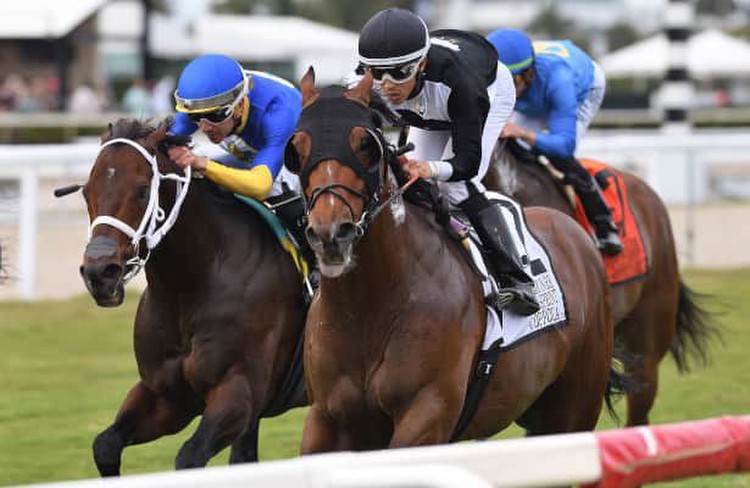 Coppola captures 1st stakes in Gulfstream Park Turf Sprint