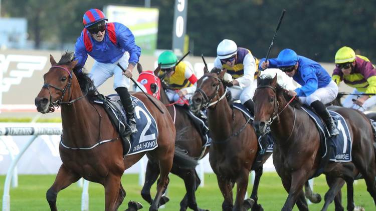Coral-Eclipse tips: Horse-by-horse guide for Sandown feature