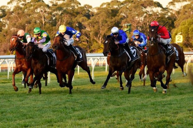 Corowa Horse Racing Tips and Best Bets 3/7/23