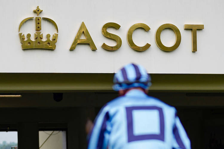 Could the King land his first Royal Ascot winner?
