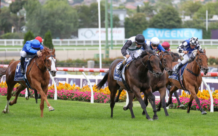 Cox Plate Likely Field