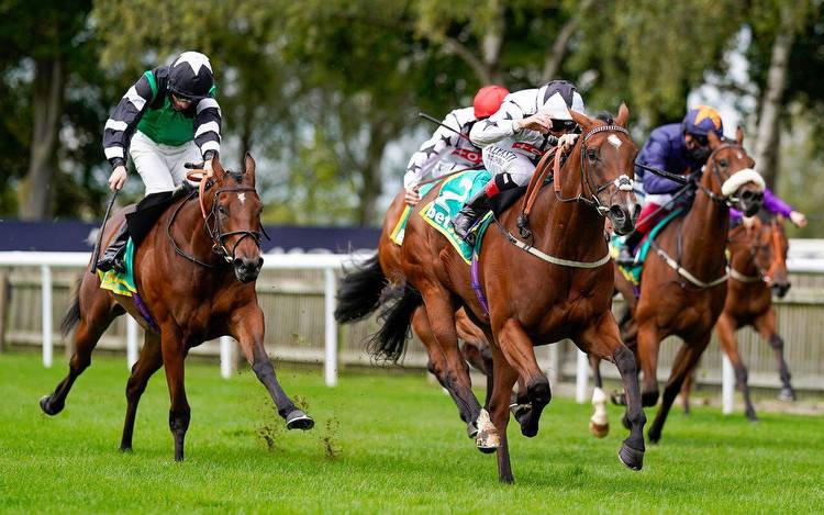 Craven Stakes predictions and odds: Thursday 15 April