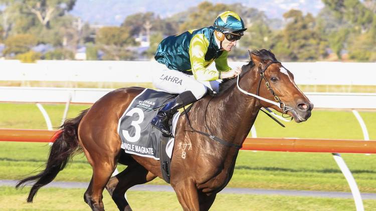 Cup target for Jungle Magnate after SA Derby romp