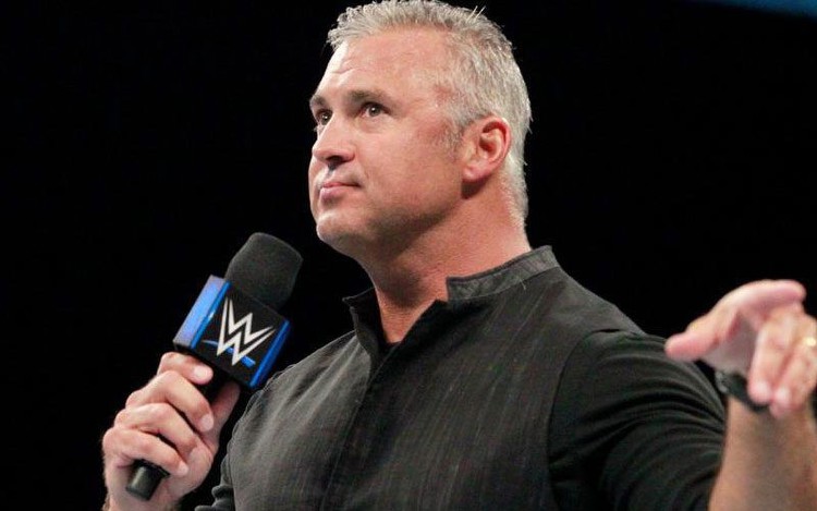 Current Likelihood Of Shane McMahon's WWE Return