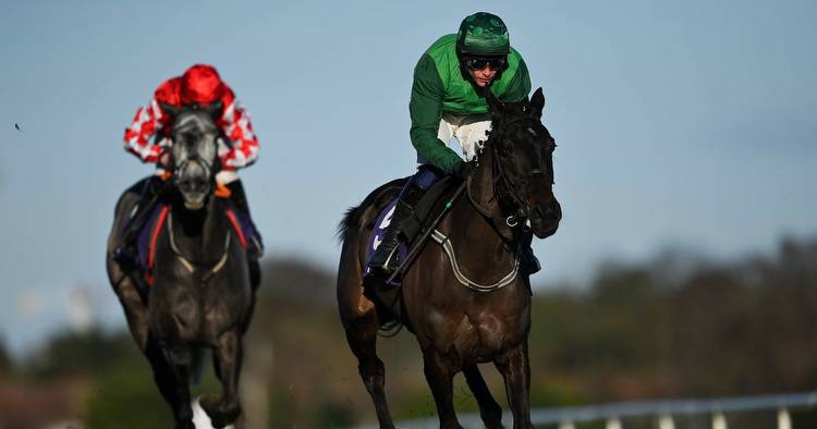 Dark Raven dies at Grand National Festival and is 2nd horse put down at Aintree