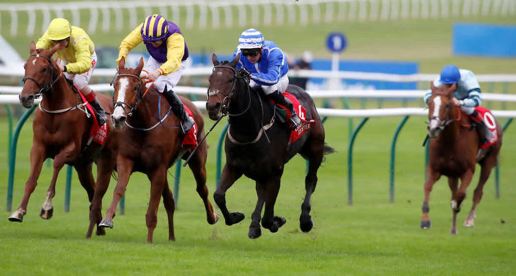 Dave Nevison's horse racing tips: My four best bets for Saturday