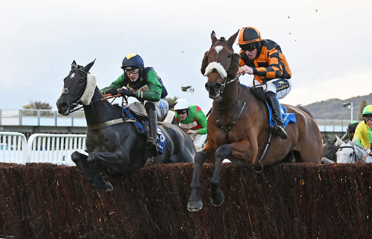 Dave Nevison's weekend tips: best bets for Cheltenham