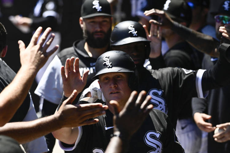 Dead Cat Bounce: A Very White Sox 2023 Outlook