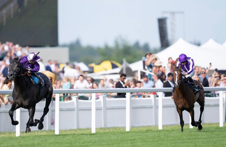 Derby runner-up King Of Steel demolishes rivals in King Edward VII Stakes