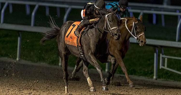 Derby Trail heads to New Orleans for 110th Louisiana Derby