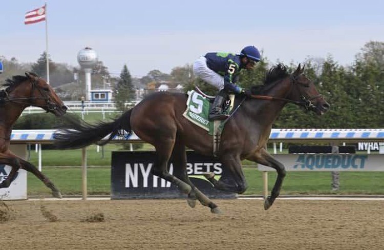 Derby works: Sierra Leone is 1 of 28 on tab, races next Saturday