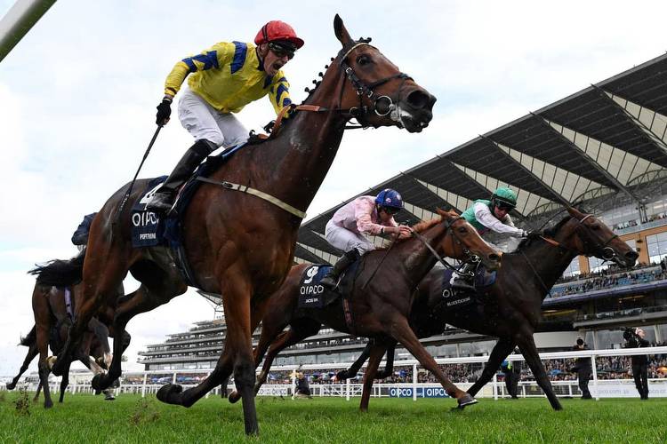 Doncaster Rovers chairman David Blunt banks six figures after horse wins Ascot race