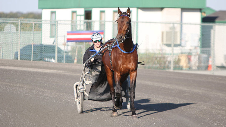 Draws held for MGM Yonkers International Trot program