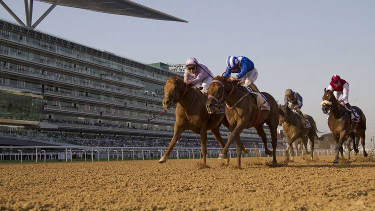 Dubai Preview: Algiers can continue on winning trail