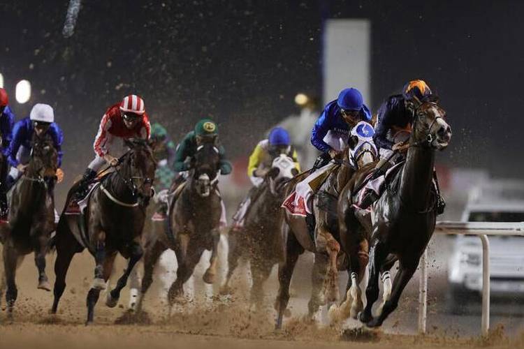 Dubai Racing Club set for exciting new season