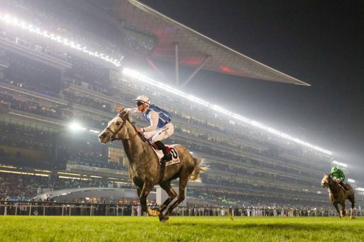 Dubai World Cup 2019: Latest betting, runners and TV times ahead of the action at Meydan racecourse