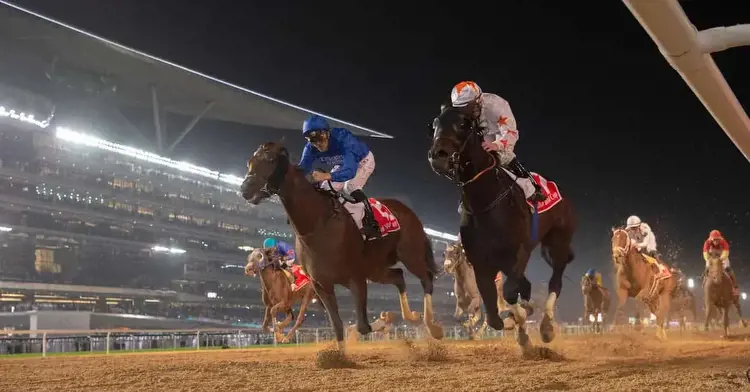 Dubai World Cup (Meydan Racecourse) Predictions,Odds & Picks