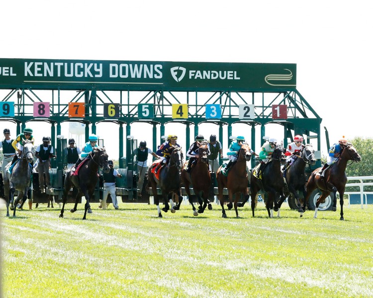 Dueling Grounds Oaks Preview: Beckman Seeks Another Stakes Victory